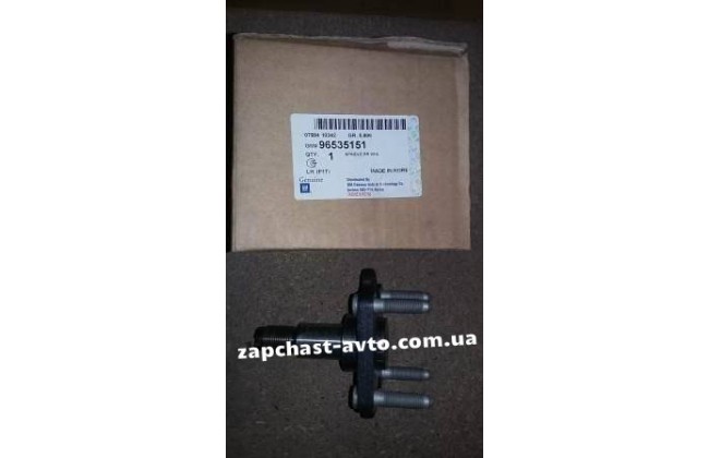 Ступица задняя Авео (цапфа) правая GM 96535152